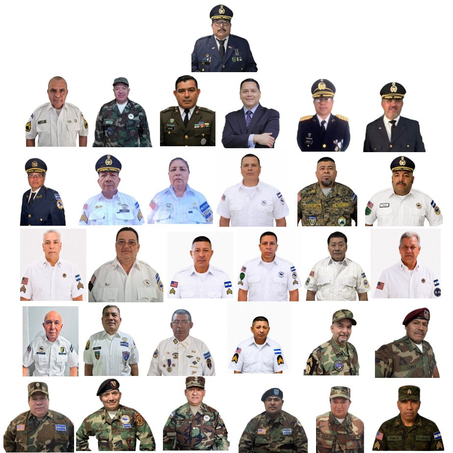 gobierno de la asociación